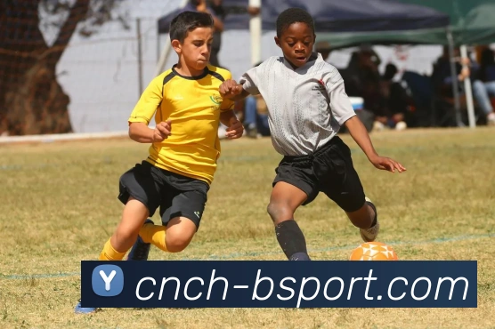 B体育官网APP 体育赛事宣传图